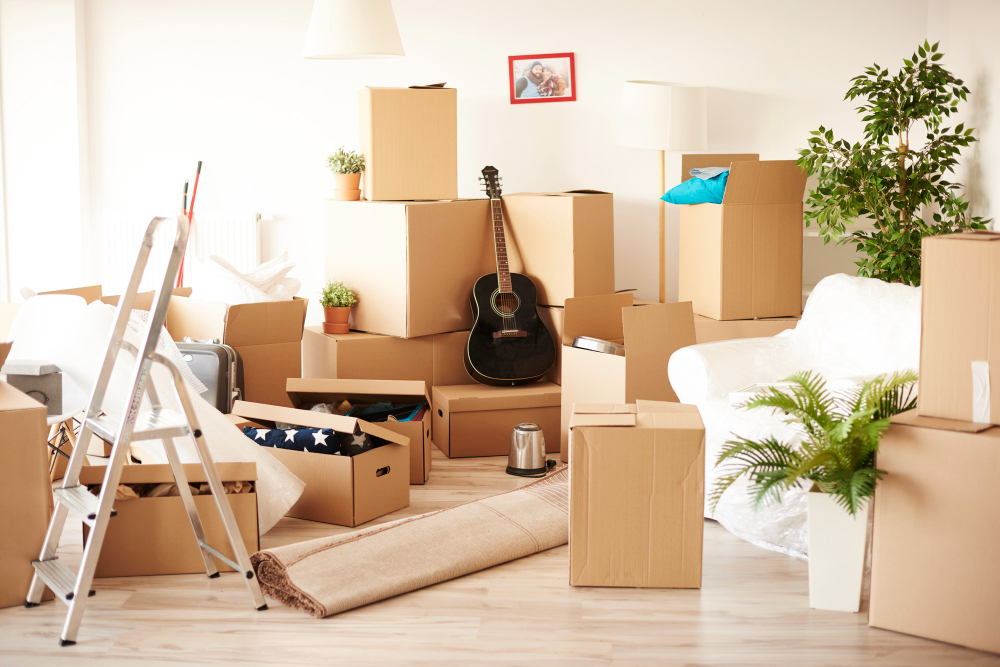 UAE household removal